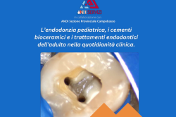 L’endodonzia pediatrica, i cementi bioceramici e i trattamenti endodontici dell’adulto nella quotidianità clinica.